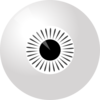 Zebra Eye Clip Art