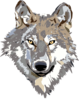 Wolf 8 Clip Art