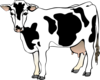 Dairy Cow Clip Art