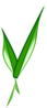V Leaf 2 Clip Art