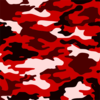 Camouflage Red Logo Clip Art