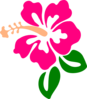Hibiscus 9 Clip Art