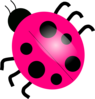 Pink Ladybugs Clip Art