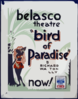  Bird Of Paradise  By Richard Walton Tully Clip Art
