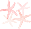 Starfish Colors Clip Art