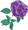 Purple Flower No Background Clip Art