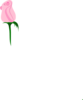 Pink Rose Short Stem Clip Art