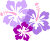 Hibiscus Trifecta1 Clip Art