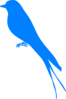 Bluebird Profile  Clip Art
