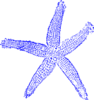 Starfish Blue Clip Art