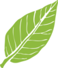 Lanceolate Leaf 3 Clip Art