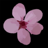 Plum Blossom Clip Art