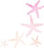 Starfish Orange Pink Clip Art