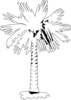 Palm Tree Clip Art