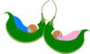 Two Peas In A Pod Sleeping. Clip Art