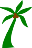Palm Tree With Coconuts Clip Art