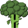 H Broccoli Clip Art