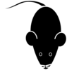 Lab Mouse Template Black Clip Art