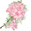 Pink Flower Clip Art