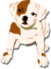 Bulldog Pup Clip Art