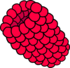 Red Raspberry Clip Art