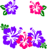 Group Of Hibiscus Clip Art