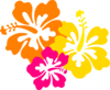Hibiscus Flowers 5 Clip Art