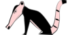Anteater Animal Clip Art