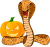 Snake And Pumpkin Clip Art