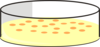 Cho Cell Petri Dish2 Yellow Medium Clip Art