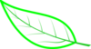 Cryptpoint Leaf Perimeter 02 Clip Art