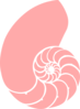 Pink Nautilus Shell Clip Art