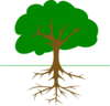 Tree And Roots Clip Art