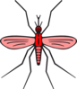 Mosquito In Red Color Version 2 Clip Art