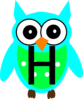 Turquoise Owl H Clip Art