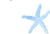 Single Starfish Clip Art