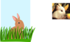 Rabbit In Grass Clip Art