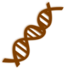 Dna Clip Art