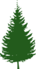 Tree Green Image Clip Art