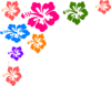 Hibiscus Flower Color Clip Art