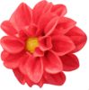 Dalia Flower Clip Art