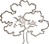 Dark Brown Tree Clip Art