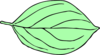 Another Light Green Oval Leaf Clip Art