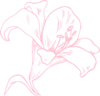 Light Pink Lily Clip Art
