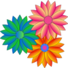 Coloured Daisies Clip Art