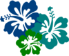 Hibiscus Teal & Green Clip Art