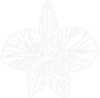 White Orchid Outline Clip Art