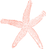 Single Starfish Coral Clip Art