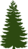 Green Pine Tree Clip Art