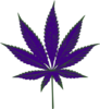 Purple Weed Icon Clip Art